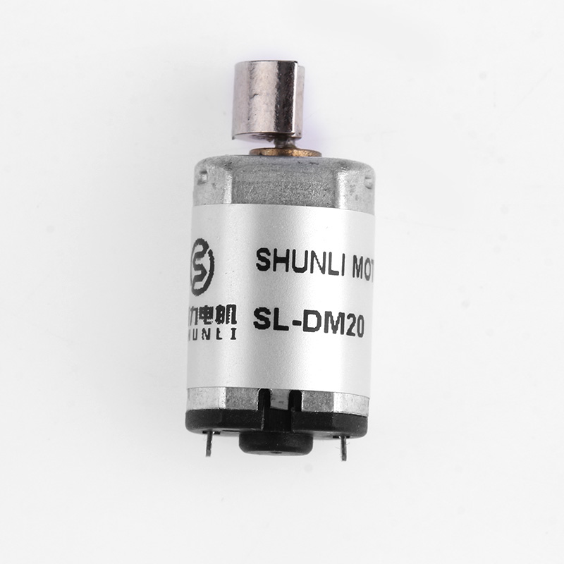 SL-DM20.jpg