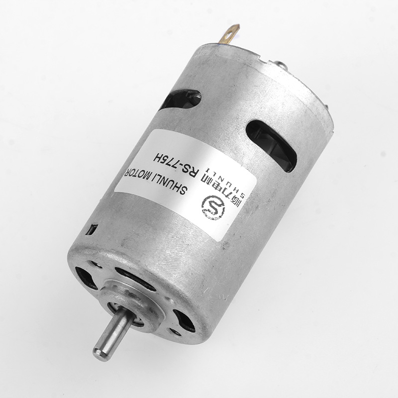 Micro DC Motor