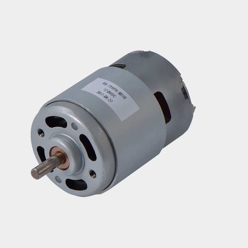 Micro DC Motor