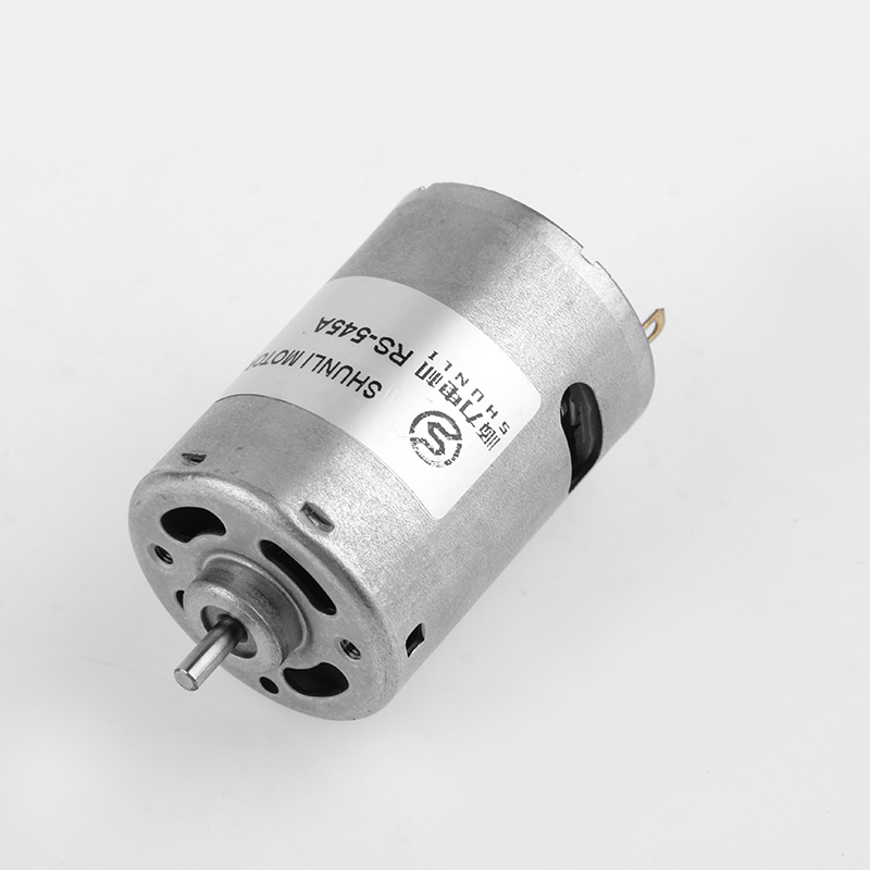 Micro DC Motor