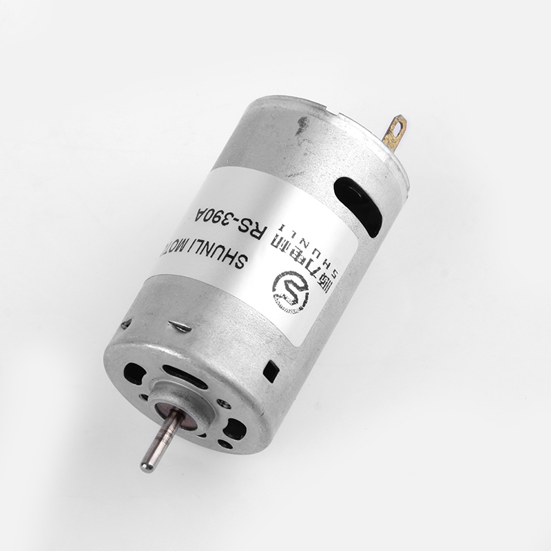 Micro DC Motor