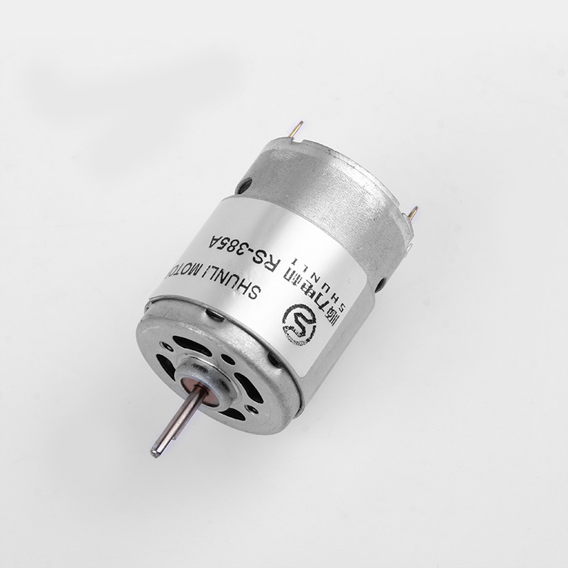 Micro DC Motor