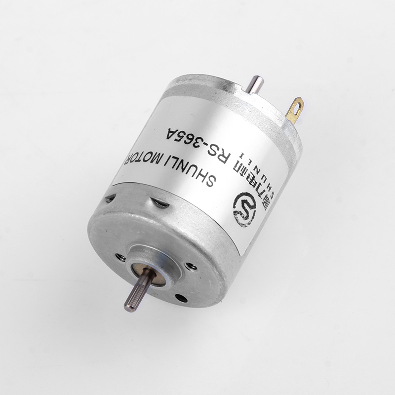 Micro DC Motor