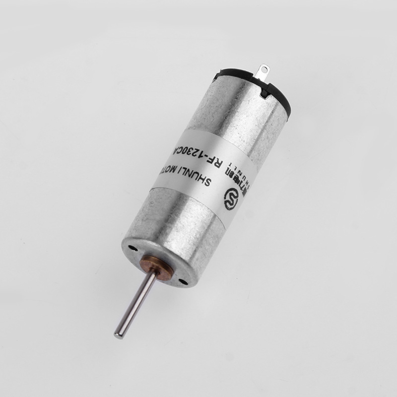 Micro DC Motor
