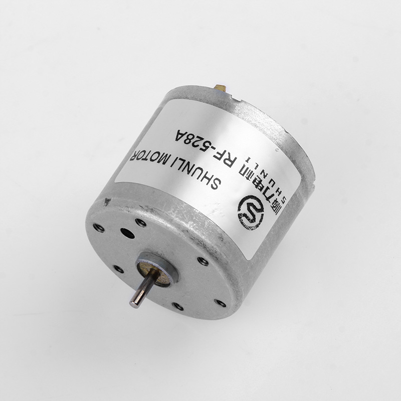 Micro DC Motor