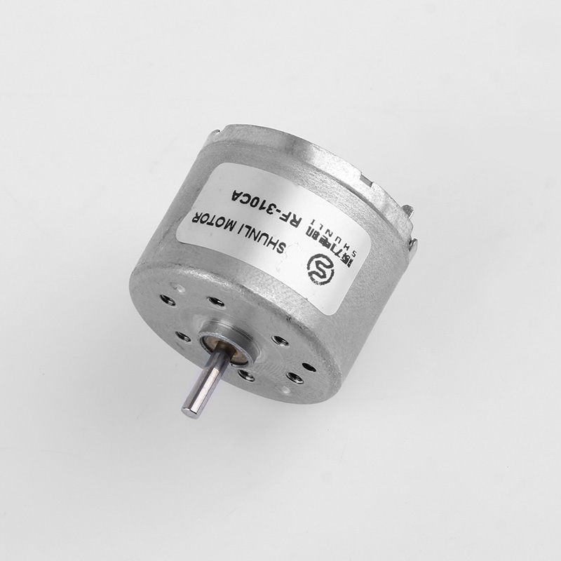 Micro DC Motor