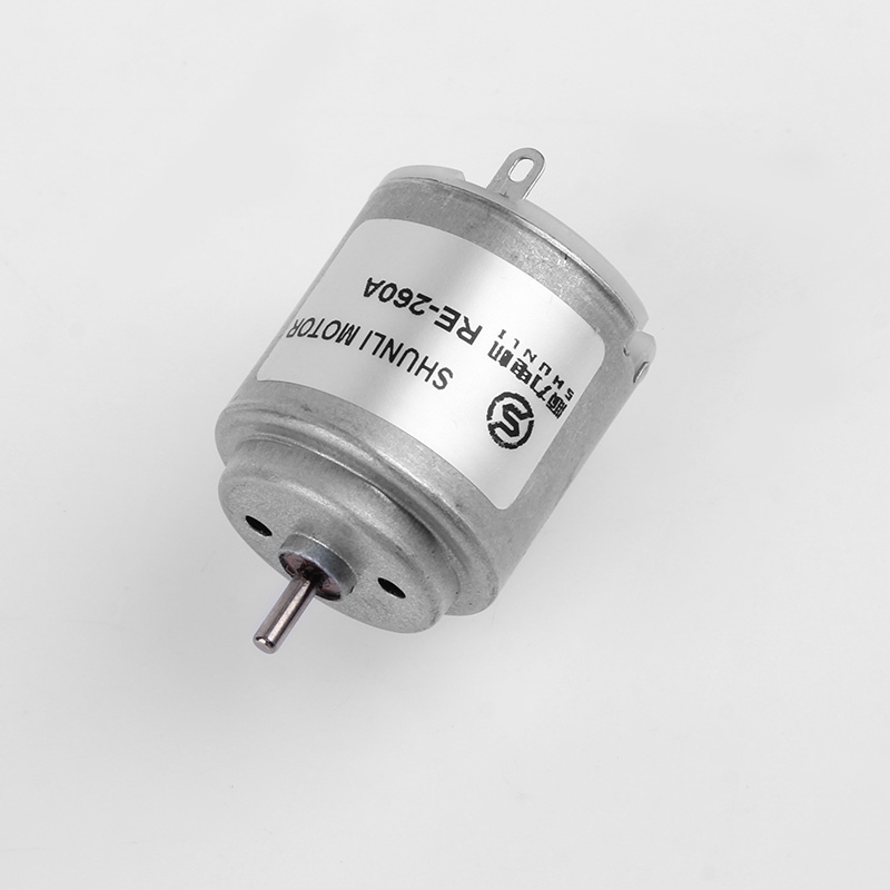 Micro DC Motor