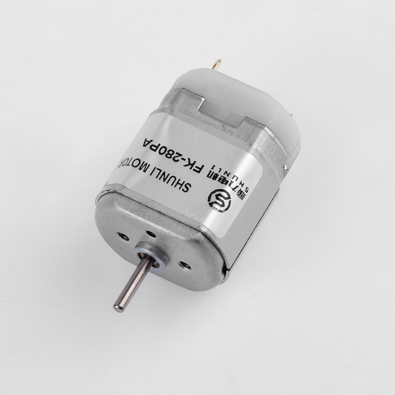 Micro DC Motor