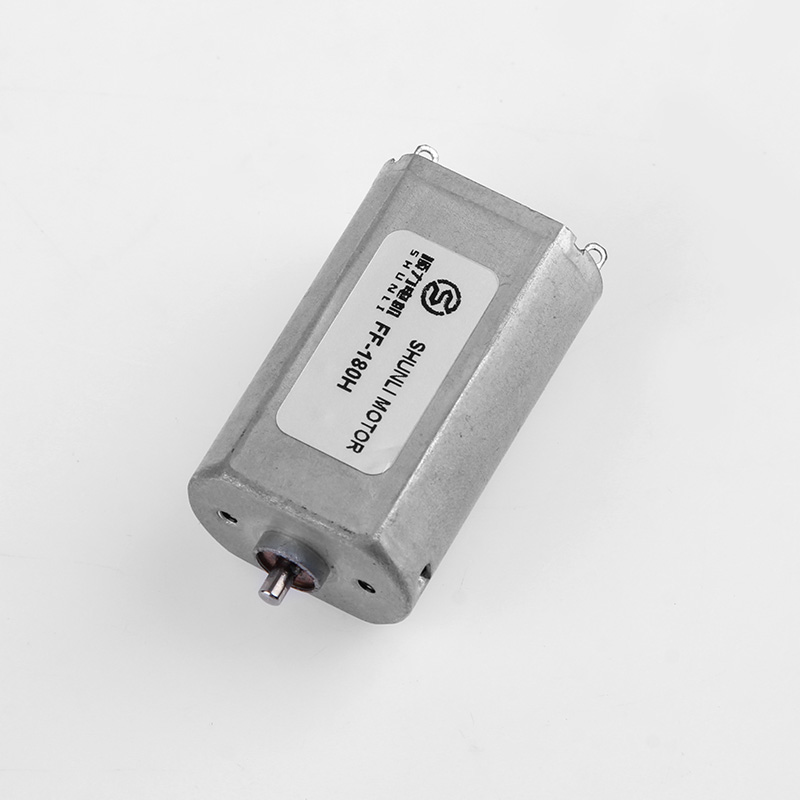 Micro DC Motor
