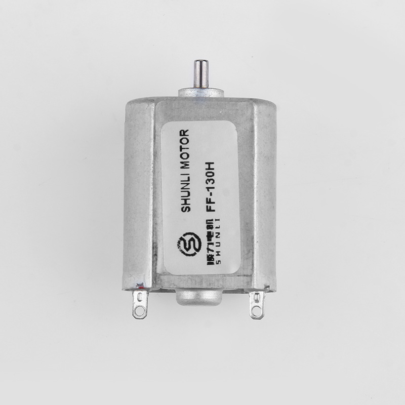 Micro DC Motor