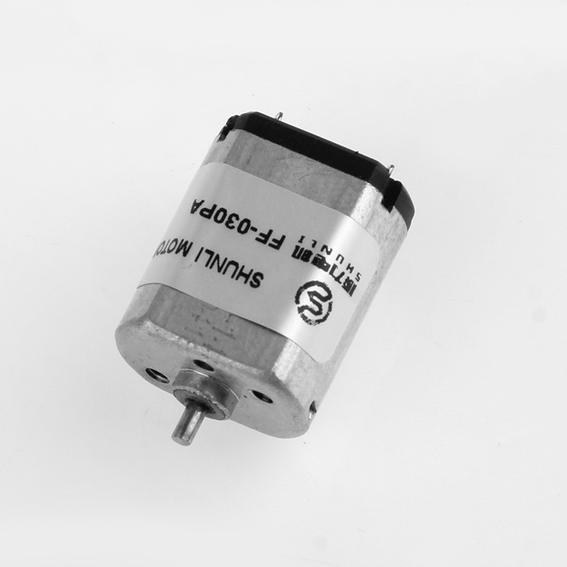Micro DC Motor