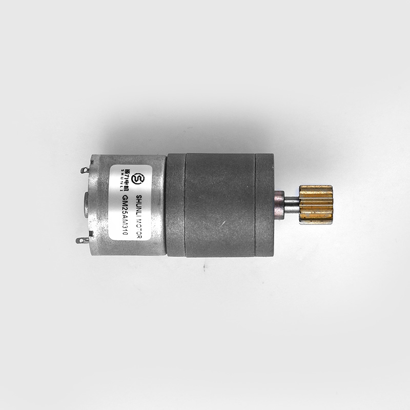 GM25AM310.jpg